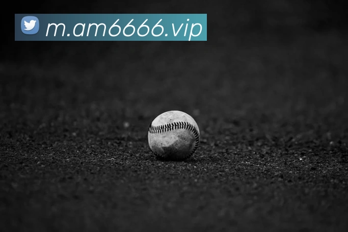体育直播服务